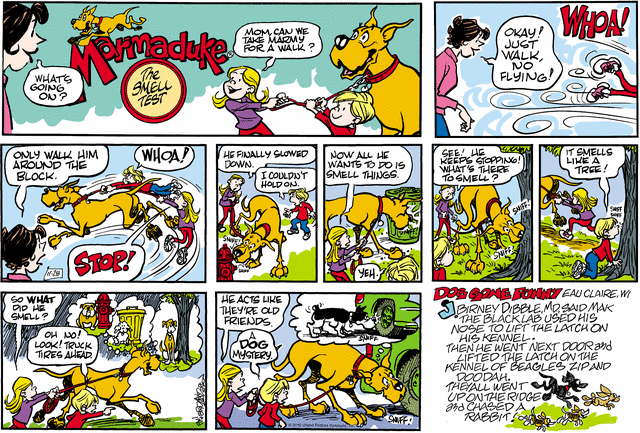 marmaduke